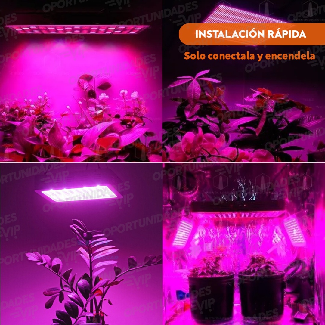 plantilla mozaico fotos producto lampara grow 2