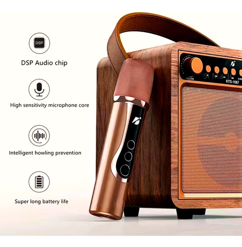 Parlante Portátil Karaoke Con Microfono Bt 10w Usb Kts-1687 - Image 6