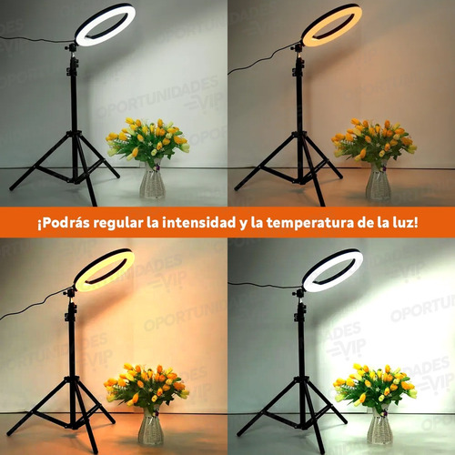 Aro led trípode 26 cm. con soporte celular - 2 metros - Image 7