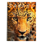 Cuaderno animales hojas A4 Asa123 – imagen 11