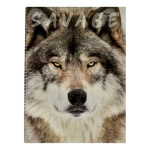 Cuaderno animales hojas A4 Asa123 – imagen 19