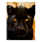 Cuaderno animales hojas A4 Asa123 – imagen 13