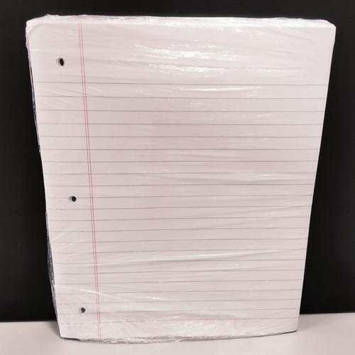 Repuesto hojas rayadas 480 resma - Image 2