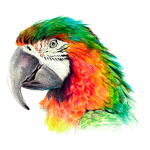 Lapices De Colores Caja X 12 Para Escuela Filgo Dibujo 326 - Image 7