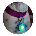 Luz Para Mascotas Led Identificador Paseo Nocturno Et7124 - Imagen 8
