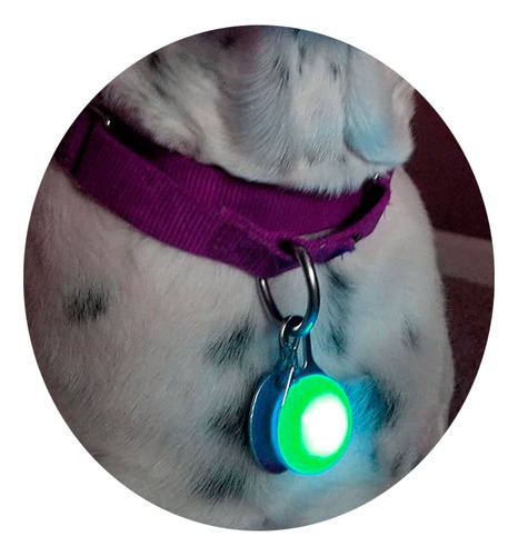Luz Para Mascotas Led Identificador Paseo Nocturno Et7124 - Imagen 8