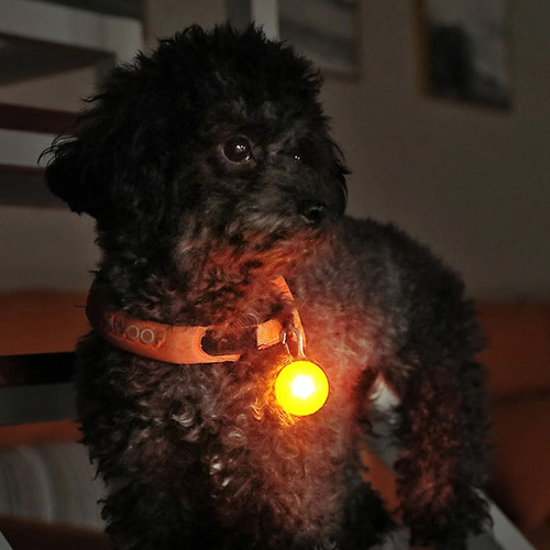 Luz Para Mascotas Led Identificador Paseo Nocturno Et7124 - Imagen 4