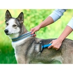 Cepillo saca pelos para mascotas Qtp5 - Image 9