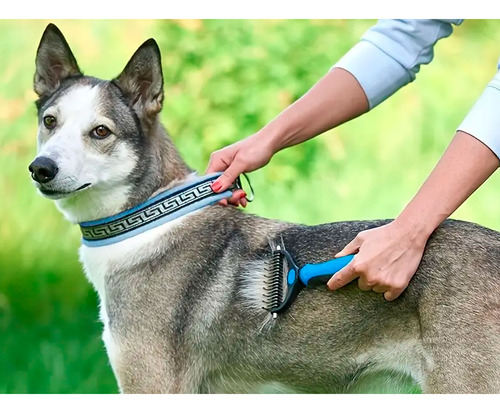 Cepillo saca pelos para mascotas Qtp5 - Image 9