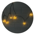 Guirnalda 10 flores luces cálidas Lpg-25ca