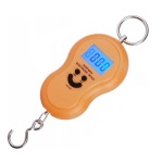 Balanza digital portátil