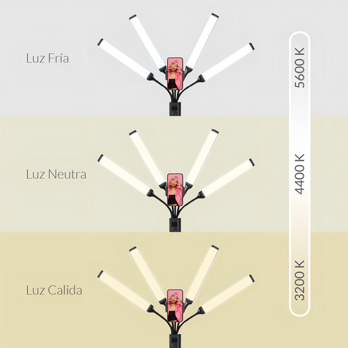 Luz LED estrella regulable con 4 brazos flexibles Bl-04 - Image 5