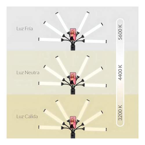 Luz LED estrella regulable con 6 brazos flexibles Bl-06 - Image 6