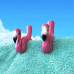 Broches Clips Ropa Toalla Toallon Playa Fuerte Agarre X Par - Image 18
