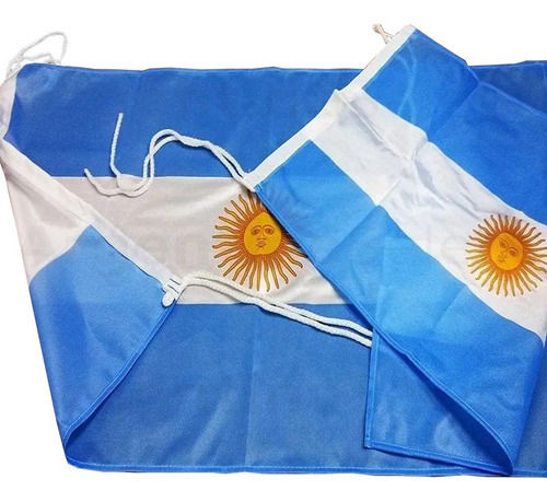 Combo Bandera Argentina 90x60 Cm + Pinturita Cara - Imagen 3