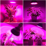 Lampara Led Crecimiento Indoor Para Cultivo Interior 30w - Imagen 7