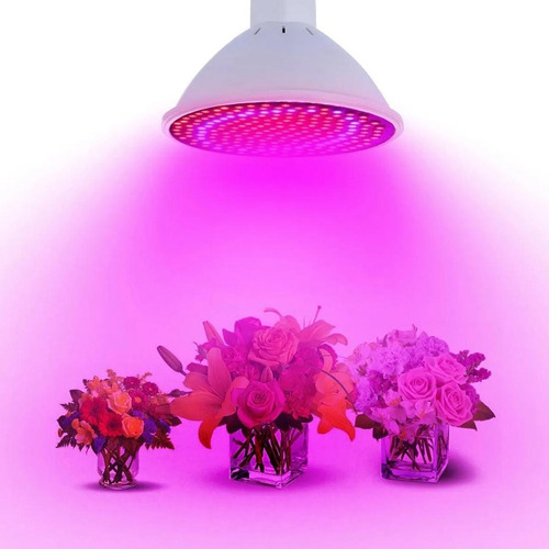 Lampara Led Crecimiento Indoor Para Cultivo Interior 30w - Imagen 4