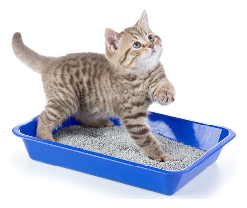 Piedritas Para Gatos Absorventes Lavanda 4 Kg Mi Pichicho - Image 2
