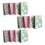 Pack X12 bolsas de cartón para regalo modelos surtidos Aa0942