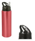 Botella De Agua Deportiva Termica 750ml Con Pico 241051