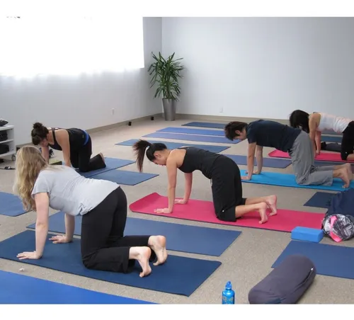 Colchoneta Mat Para Yoga Pilates Fitness Gym 175 X 60 Cm - Image 15