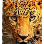 Cuaderno animales hojas A4 Asa123