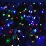 Guirnalda 30 luces LED 30 flores multicolor solar