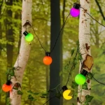 Guirnalda 20 focos multicolor 10 metros Ln11