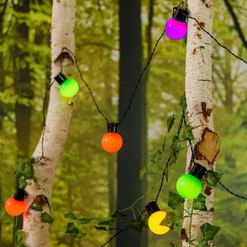 Guirnalda 20 focos multicolor 10 metros Ln11 - Image 1