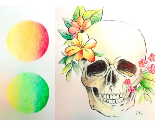 Lapices De Colores Caja X 12 Para Escuela Filgo Dibujo 326 - Image 5