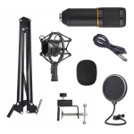 Microfono Condenser Profesional Con Brazo Plegable + Filtro - Image 12
