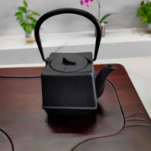 Pava de hierro negra Mt09064 - Image 3