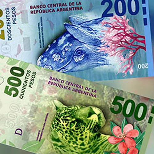 Pluma Detector De Billetes Falsos X5 Marcadores Ar228 - Image 6