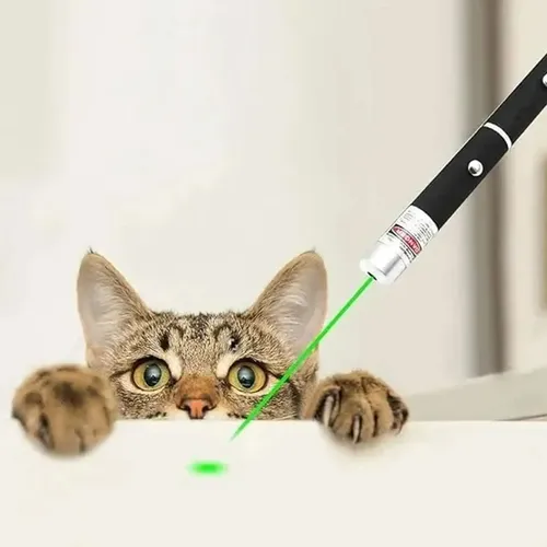 Puntero Laser Verde  De1 Km Alcance Efecto Luminoso Y Lluvia - Imagen 6