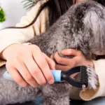 Cepillo saca pelos para mascotas Qtp5 - Image 16