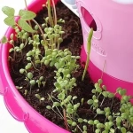 Set De Jardinería Infantil Magic Garden Niños Huerta Mágica - Image 3