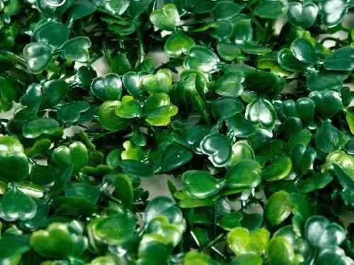 Pasto artificial verde para jardín 60x40cm - Imagen 6