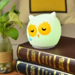 Velador Infantil Lechuza De Leds Regulacion Tactil De Varios Colores Y Funciones - Imagen 16