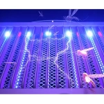 Lampara Mata Mosquitos Y Moscas Insectos Led Uv Av24888 Violeta - Imagen 4