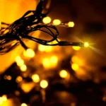 Pack X10 Guirnalda Cadena Led Exterior 10 Mts Cálida Solar - Imagen 3