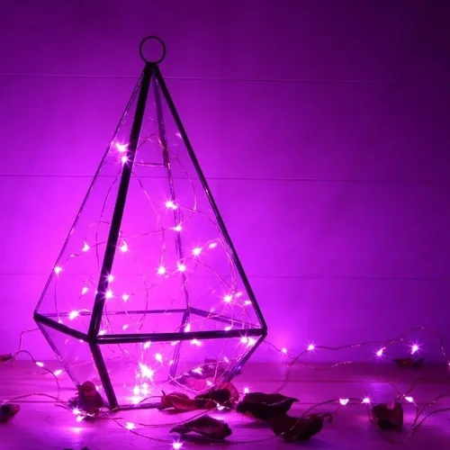 Guirnalda de alambre con luz led rosa fucsia - 3 mts a pilas - Imagen 4