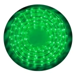 Manguera luz LED verde con controlador Mv1