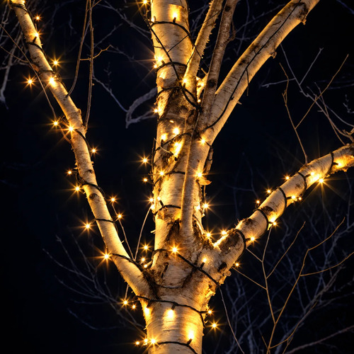 Guirnalda Luces Led Blanco Calido 100 Mts Navidad Dtnv09 - Imagen 2